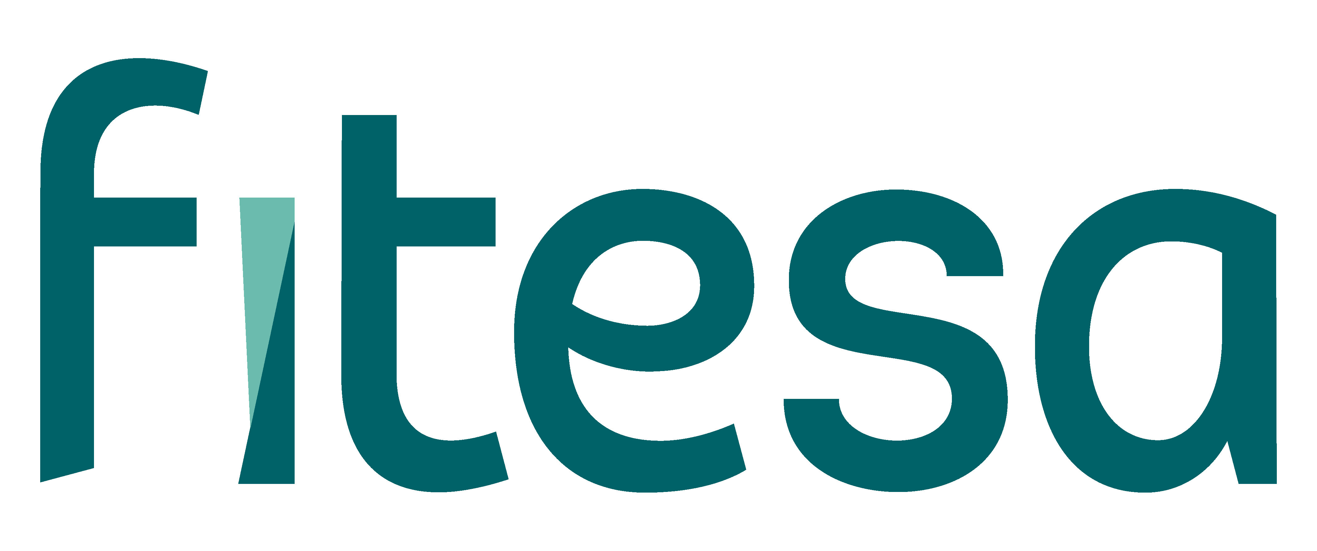 Fitesa Nãotecidos S.A